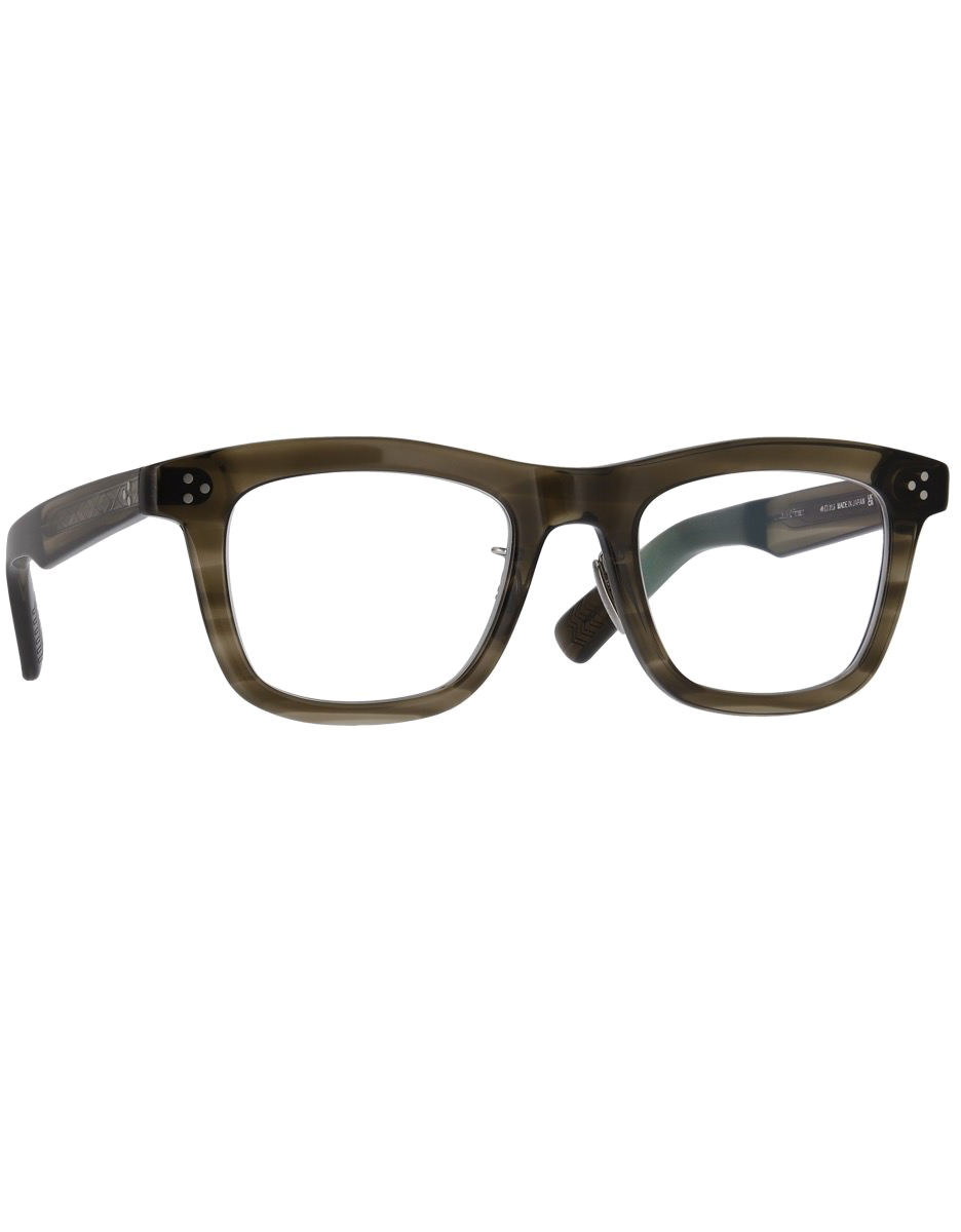 P.willinckii YMDS（Mr.Yot） イエロームーンドワーフ①S Amazon.com: LEAPHZOT Solar System Earth Moon Sun Model